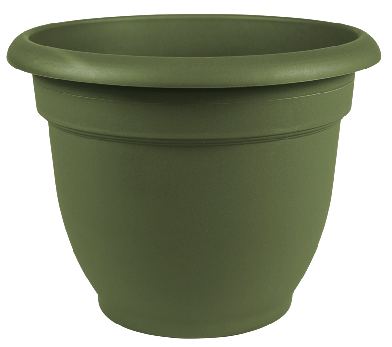 ariana self watering planter Bloem Ariana Self-Watering Planter