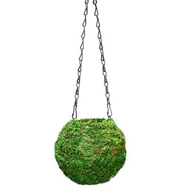 SuperMoss Kokedama Green Moss Ball Planter - Assorted Colors