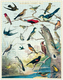 Birds Puzzle - 1,000 pieces