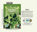 Giant Winter Spinach Seeds