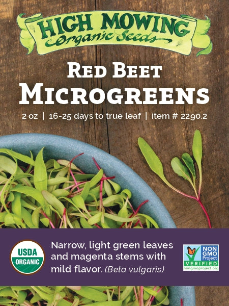 Red Beet Microgreens - 2 oz