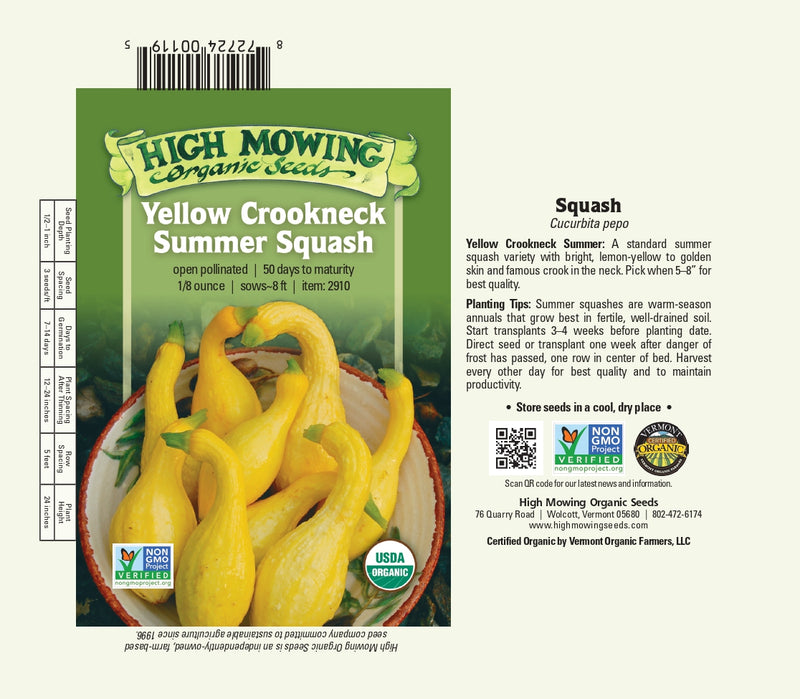 planting yellow crookneck squash seeds Yellow Crookneck Squash Seeds