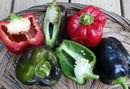 Purple Beauty Sweet Bell Pepper Seeds