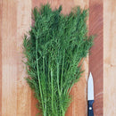 Greensleeves Dill Seeds