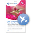 Hummingbird Bird Alert Window Decals - 4/pk