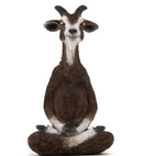 Meditating Goat