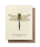 The Bower Studio Dragonfly Seeded Greeting Card