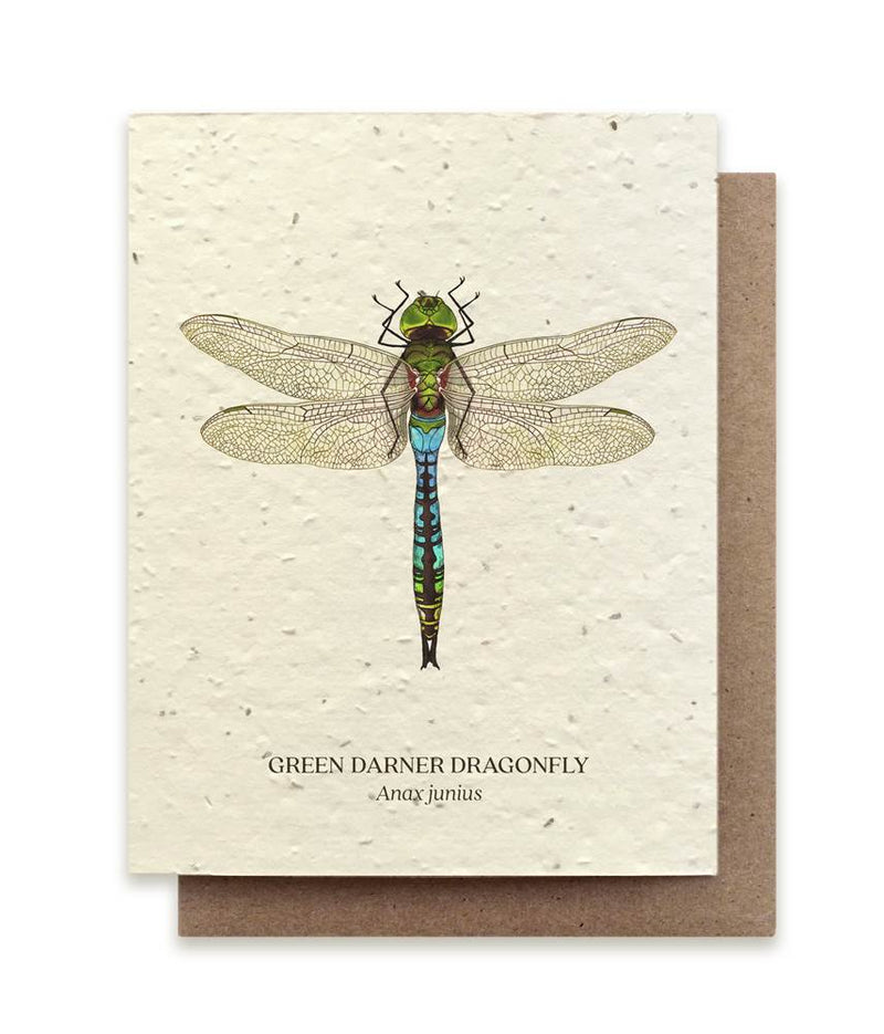 The Bower Studio Dragonfly Seeded Greeting Card