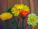 Calendula: Pacific Beauty Seeds