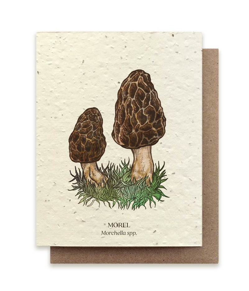 The Bower Studio Morel Mushroom Seeded Greeting Card