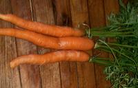 Carrot: Imperator Seeds