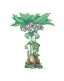 Preston Montague Trillium Greeting Card