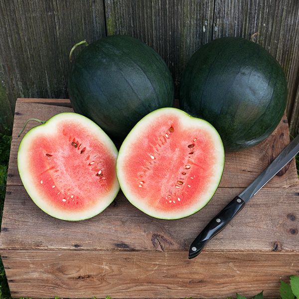 Sugar Baby Watermelon Seeds