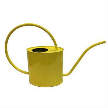 Gardener Select 2 ltr Oval Watering Can - Assorted Colors