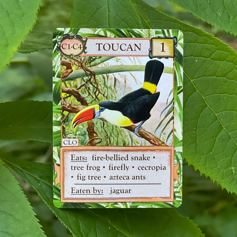 Ecologies Hidden Habitats Card Game