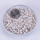 Coastal Brand Oyster Shell Calcium & Poultry Shell